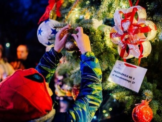 Miejskie strojenie choinki tuż, tuż