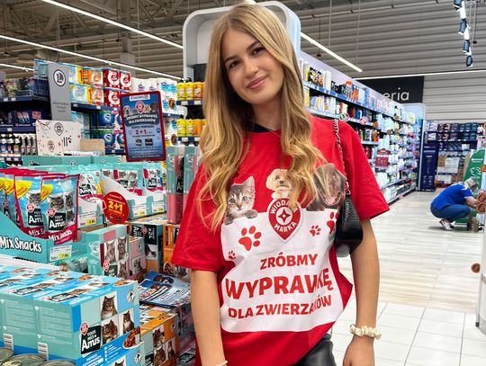 Mieszkańcy Chorzowa mogą pomóc zwierzętom.  E.Leclerc wystartował z wyjątkową zbiórką