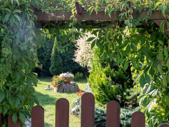 Milion dla działkowców