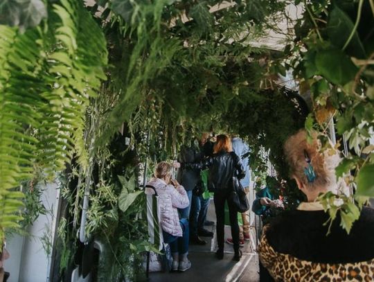 Mobilna dżungla jeździ po mieście!