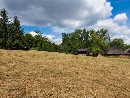 Na śląskim talerzu