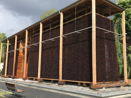 Nadaj imię tężni solankowej - wyjątkowa aukcja Miasta Chorzów i WOŚP