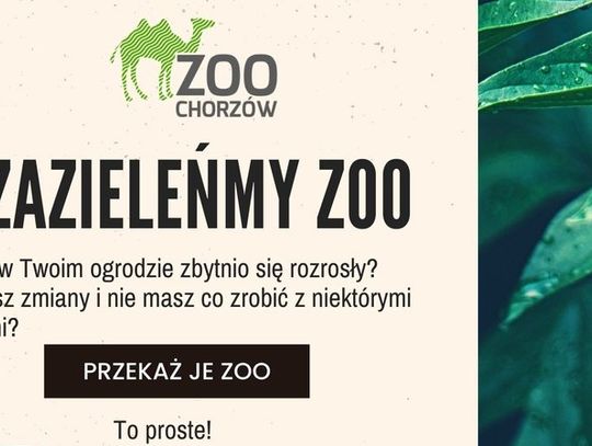 Nie wiesz co zrobić z niepotrzebnymi roślinami? Dołącz do akcji "Zazieleńmy zoo"!