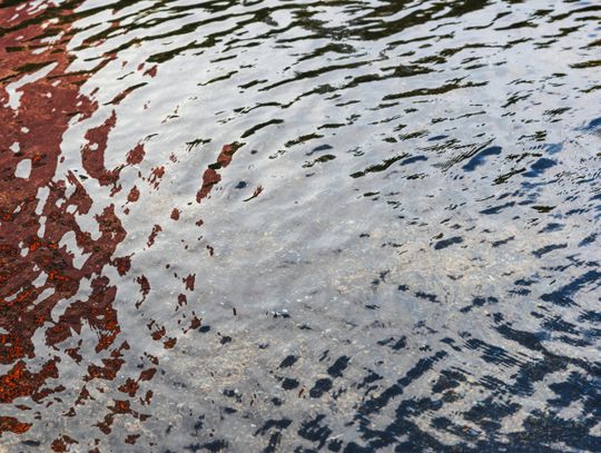 Nietrzeźwi płynęli łodzią w Parku Śląskim