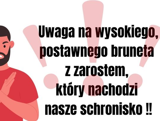 Nieznajomy kręci się w okolicy chorzowskiego schroniska i zaczepia ludzi