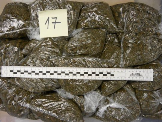 Ogromne uderzenie w nakrobiznes