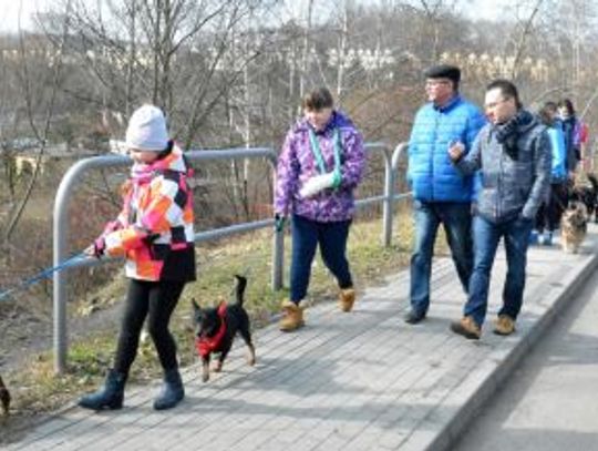 Parada kundelków w Chorzowie za nami [WIDEO+ZDJĘCIA]