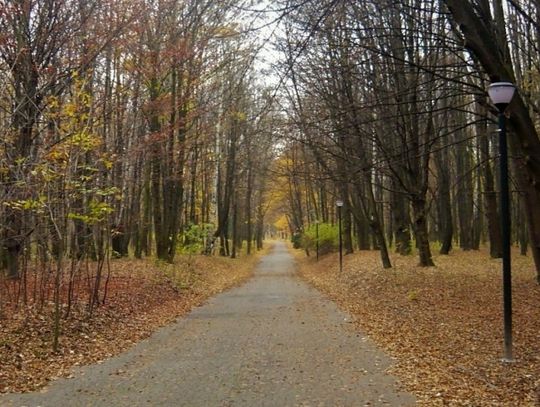 Park Śląski będzie mieć kolejnego prezesa