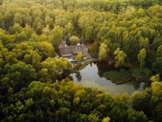 Park Śląski daje schronienie przed smogiem