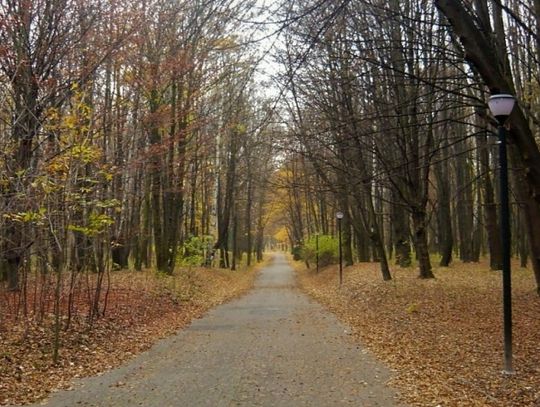 Park Śląski ma nowego prezesa