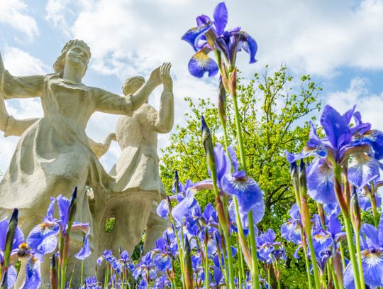 Park Śląski organizuje konkurs fotograficzny. Pula nagród wynosi 10 tysięcy złotych!