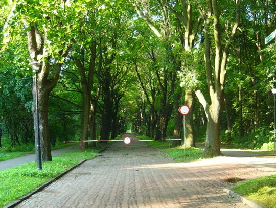 Park Śląski świętuje nadejście wiosny