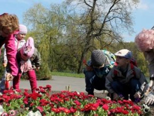 "Park Śląski. Tu się sadzi"