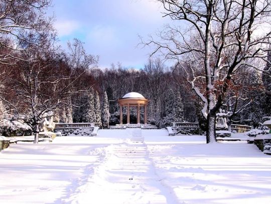 Park Śląski wciąż bez prezesa