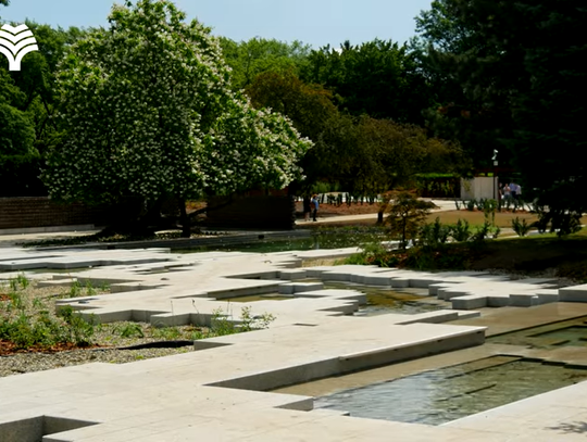 Park Śląski zaprasza do Ogrodu Japońskiego