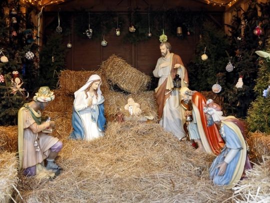  Parkowy przewodnik świąteczny 