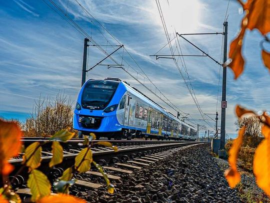 Pasażerowie dybią na rydza