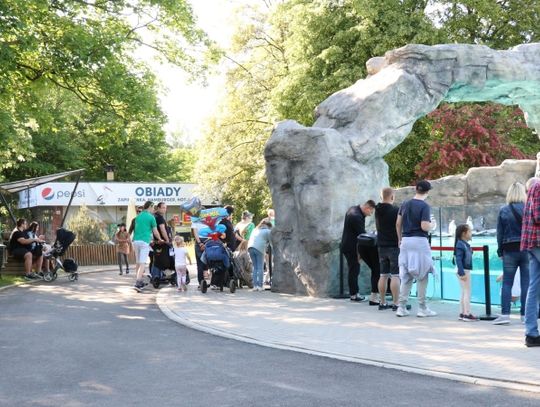 Pawilony w zoo tymczasowo zamknięte... w trosce o zwiedzających