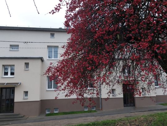 PGM podsumowuje: 2021 rok w liczbach