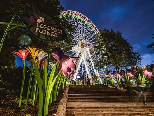 Pierwsze urodziny Lecha!