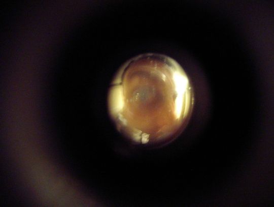 Podał się za pracownika administracji