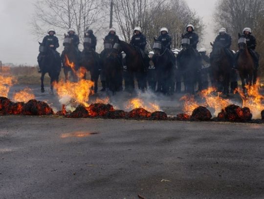 Pokaz policji konnej