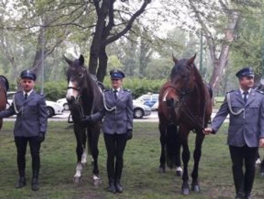 Policja konna ćwiczyła na Węgrzech [ZDJĘCIA]