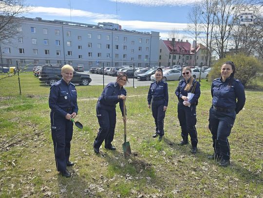 Policjantki z Chorzowa zasadziły sadzonki drzew z okazji stulecia kobiet w policji!