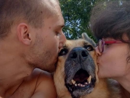 Pomóżmy pokrzywdzonej Tosi