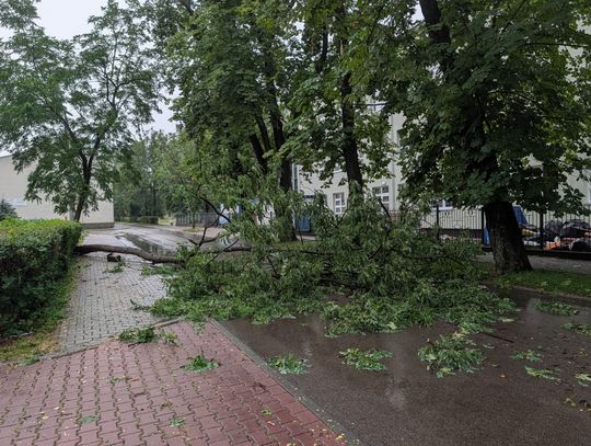 Powalone drzewa, zalane ulice. Nawałnica przeszła przez Chorzów [ZDJĘCIA]