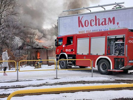 Pożar dawnego pubu w Parku Śląskim