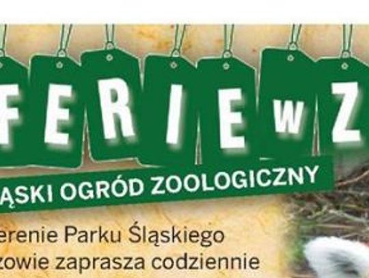 Promocyjne bilety w zoo na ferie