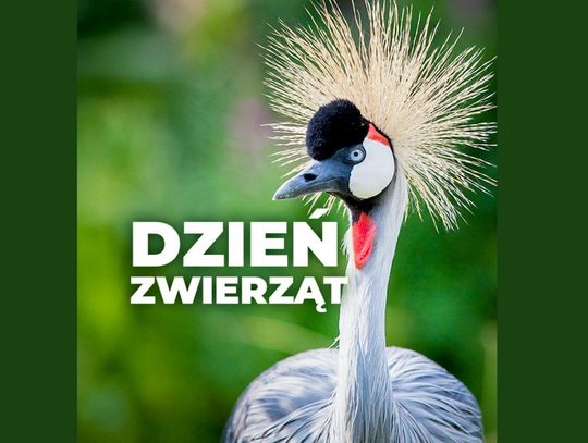 Przed nami Dzień Zwierząt w śląskim zoo