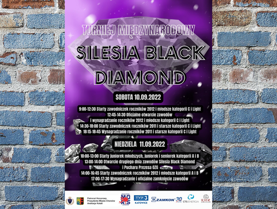 Przed nami IV Międzynarodowy Turniej Silesia Black Diamond w gimnastyce artystycznej