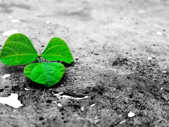 Przełomowe technologie betonowe od Heidelberg Materials i ich wpływ na ekologię budownictwa