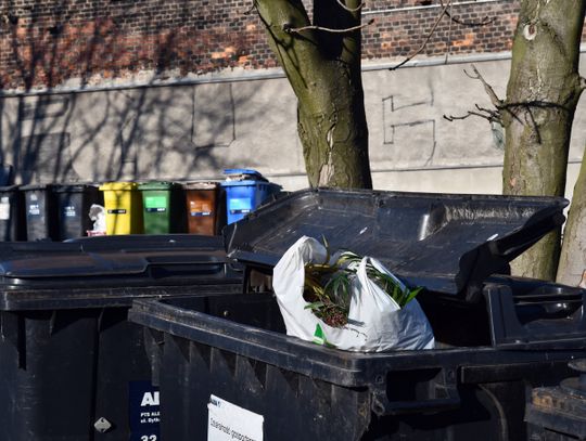 Ceny za śmieci poszybują w górę? W Chorzowie rozstrzygnięto przetarg