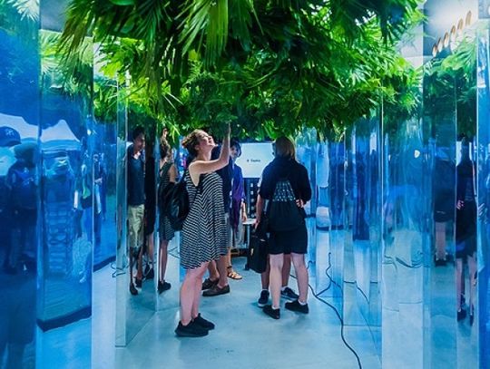 Przez Chorzów przejedzie eko-tramwaj