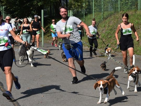 Psiaratończycy pobiegną alejami Parku Śląskiego