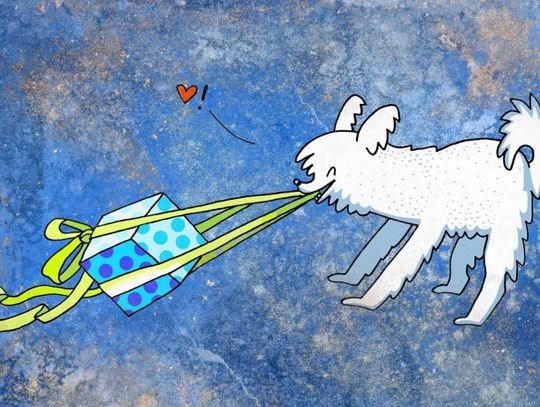  Psie Sucharki godajom po śląsku