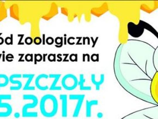 Pszczoły atakują!