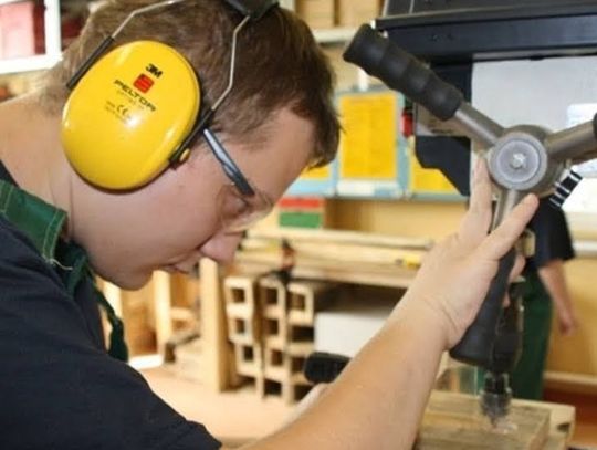 Ptasie familoki wykonane przez wyjątkowych stolarzy