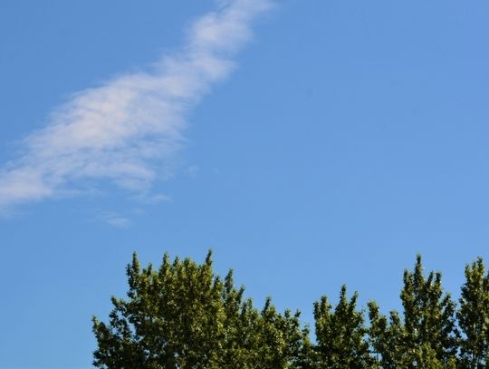 Radni zaapelują do rządu