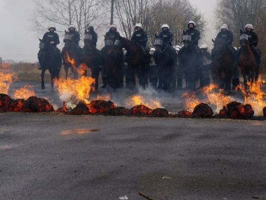 Rekrutacja do Policji Konnej