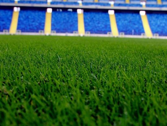 Rodzinny piknik na Śląskim