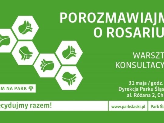 Ruszają konsultacje społeczne „Porozmawiajmy o parku”