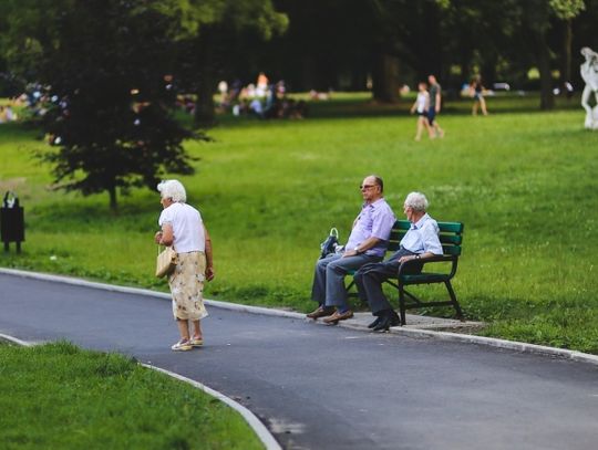 Ruszył nabór do Śląskiej Rady Seniorów