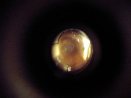 Rzecznik konsumentów ostrzega przed oszustami