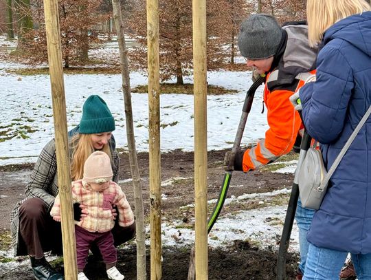 Sadzenie drzew na Lipińskich Plantach w ramach akcji #drzewkozadziecko