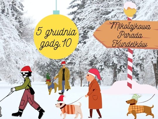 Schronisko dla Bezdomnych Zwierząt w Chorzowie zaprasza na Mikołajkową Paradę Kundelków