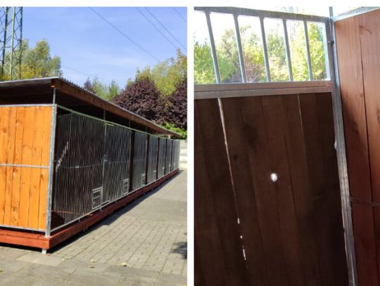 Schronisko dla bezdomnych zwierząt zaopatrzone w nowe kojce